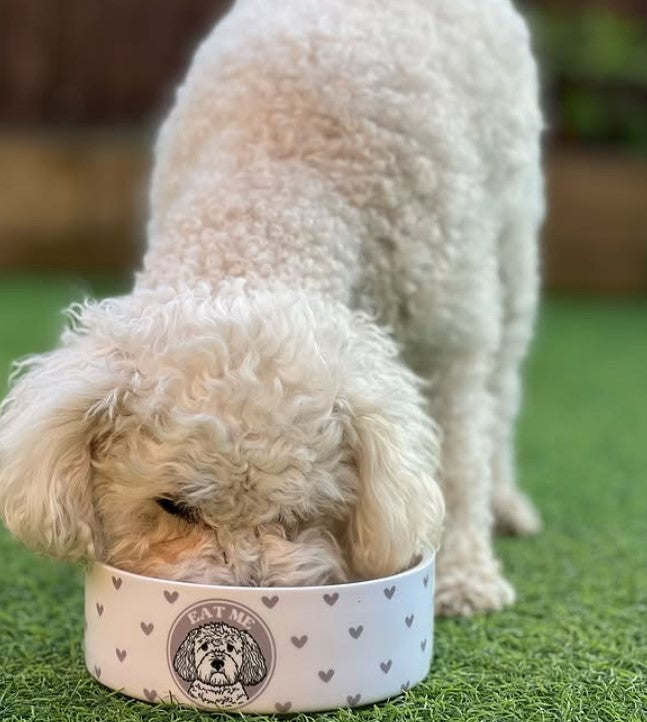 Bol pour chien blanc large anti-renversement avec motif cœurs