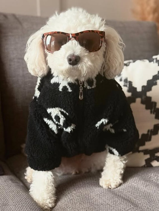 Veste Stylée pour Chien