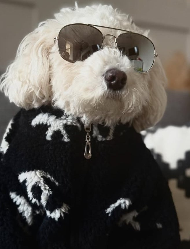 Veste Stylée pour Chien
