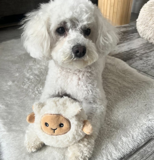 Jouet pour chien en peluche mouton