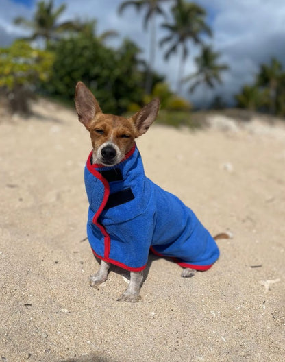 Peignoir de Séchage CozyPaws pour Chien